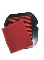 DUAL LAYERS SPONGE FILTER